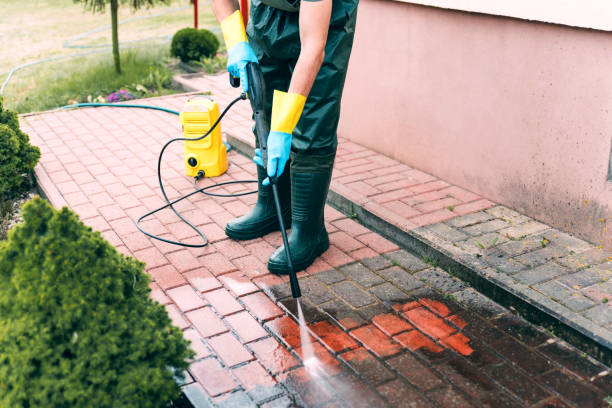 Animal Enclosure Cleaning in Maumelle, AR